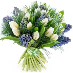 Envío de tulipanes blancos y jacintos azules a domicilio en Madrid.