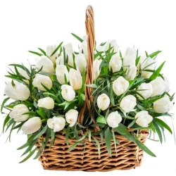 Comprar cesta de tulipanes blancos en Madrid
