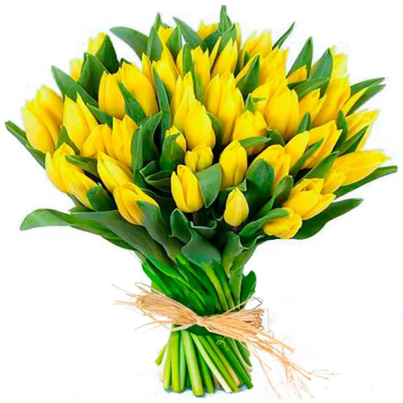Ramo con 20 tulipanes amarillos para enviar a domicilio.