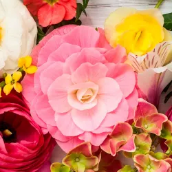 Envíos de ramos de flores personalizados en Madrid.
