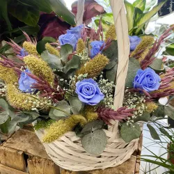Rosas preservadas de color azul.
