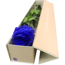 Rosa eterna, preservada y liofilizada en Madrid.