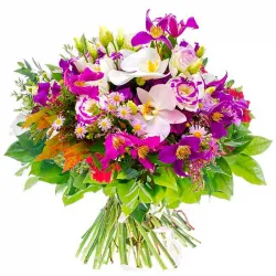 Ramo de orquídeas a domicilio en Madrid.