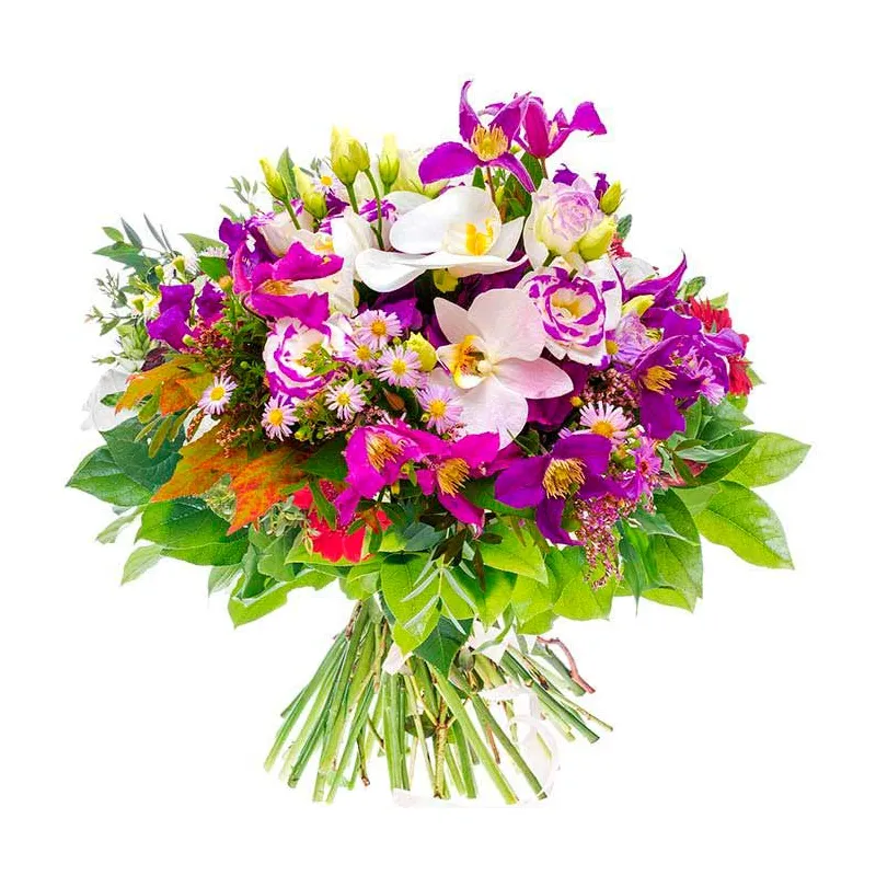 Ramo de orquídeas a domicilio en Madrid.