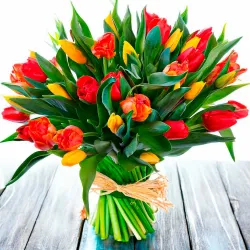 Tulipanes de colores variados a domicilio en Madrid