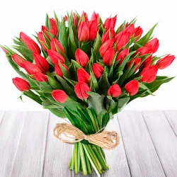 Tulipanes de color rojo