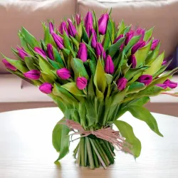 Tulipanes  morados en Madrid