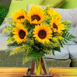 Comprar girasoles en Madrid