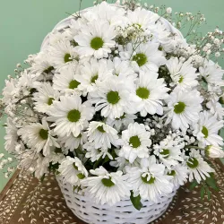 Cesta de margaritas blancas