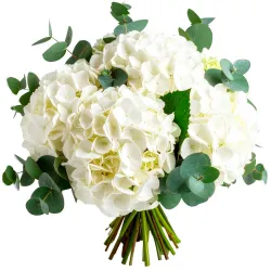 Ramo de hortensias blancas a domicilio en Madrid.