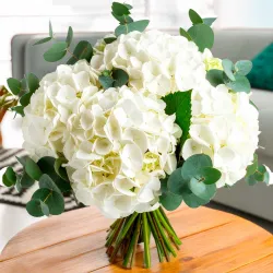 Ramo hecho con hortensias blancas. Envíos en Madrid