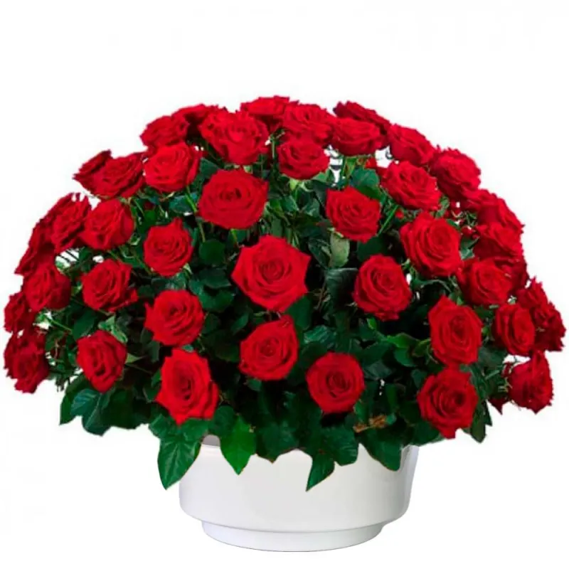 Centro de flores para funeral hecho con rosas rojas.