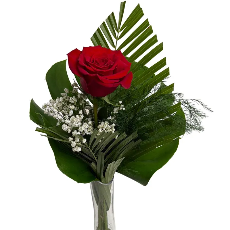 Rosas rojas. Venta por unidades. Envío a domicilio en Madrid.