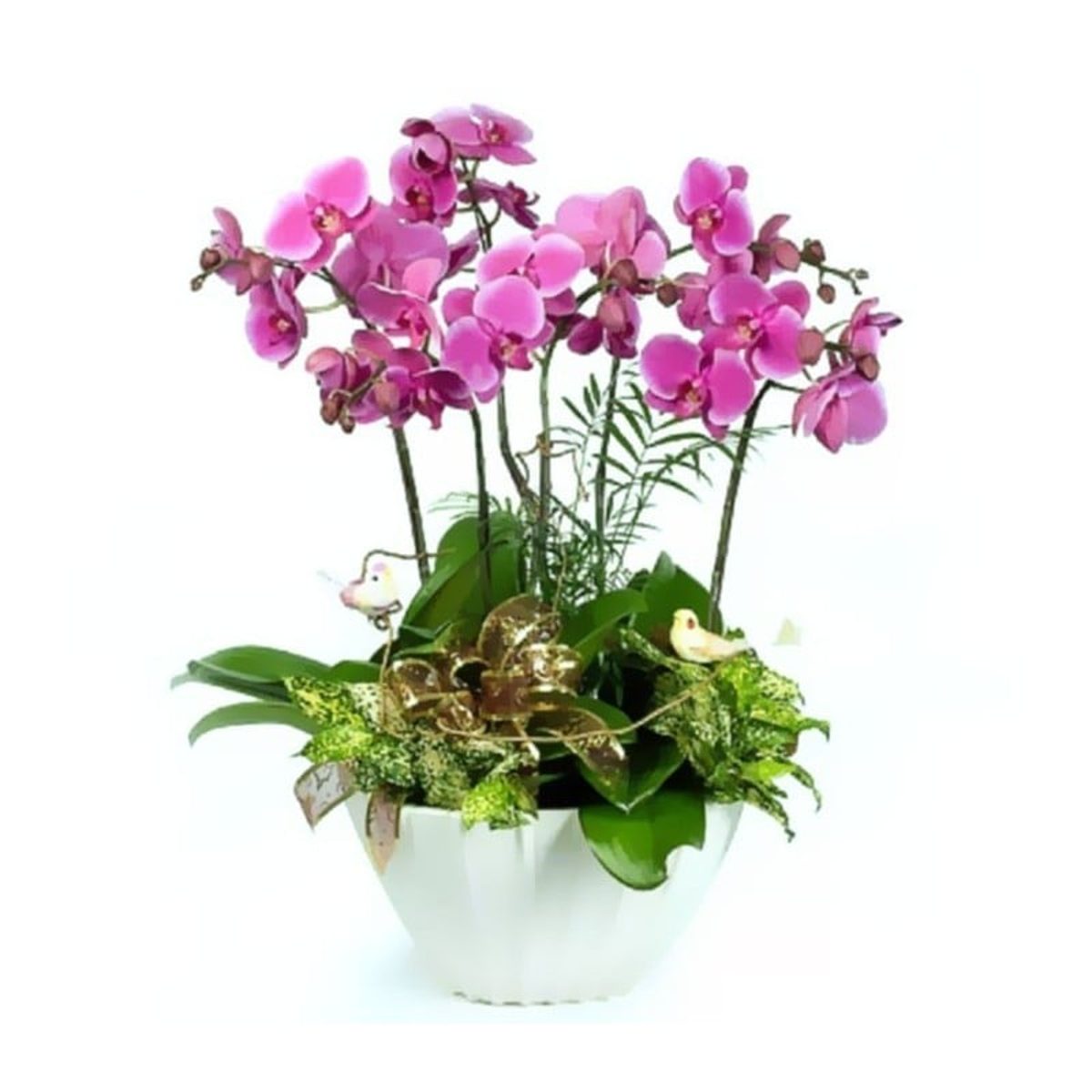 Centro de 3 orquídeas phalaenopis de 2 varas de flor