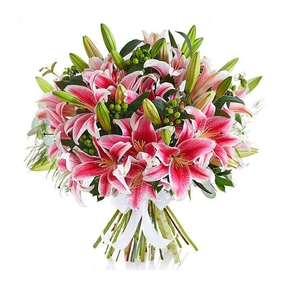 Lilium oriental perfumado