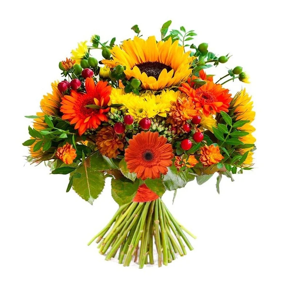Ramo de flores Koala