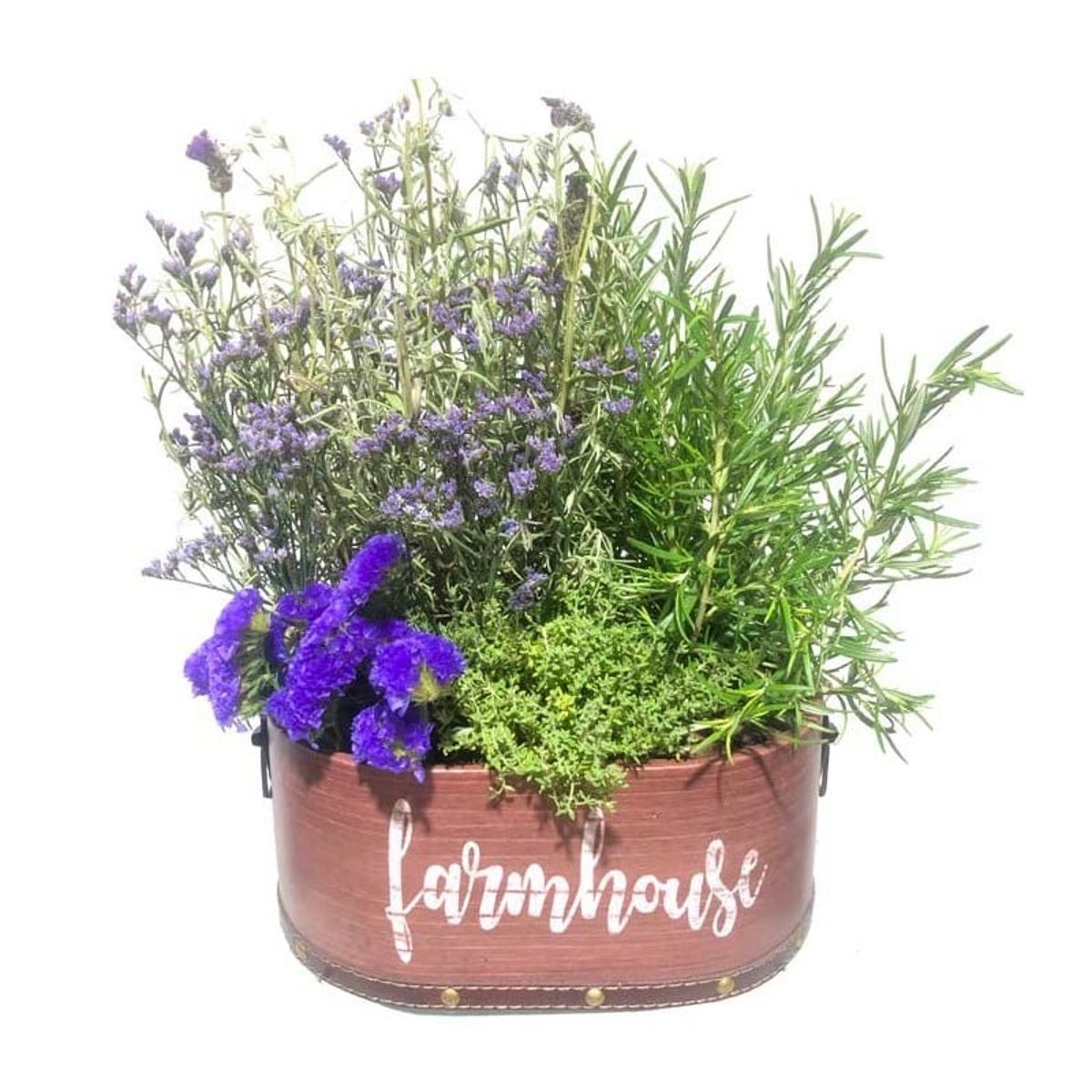 Cesta de plantas aromáticas