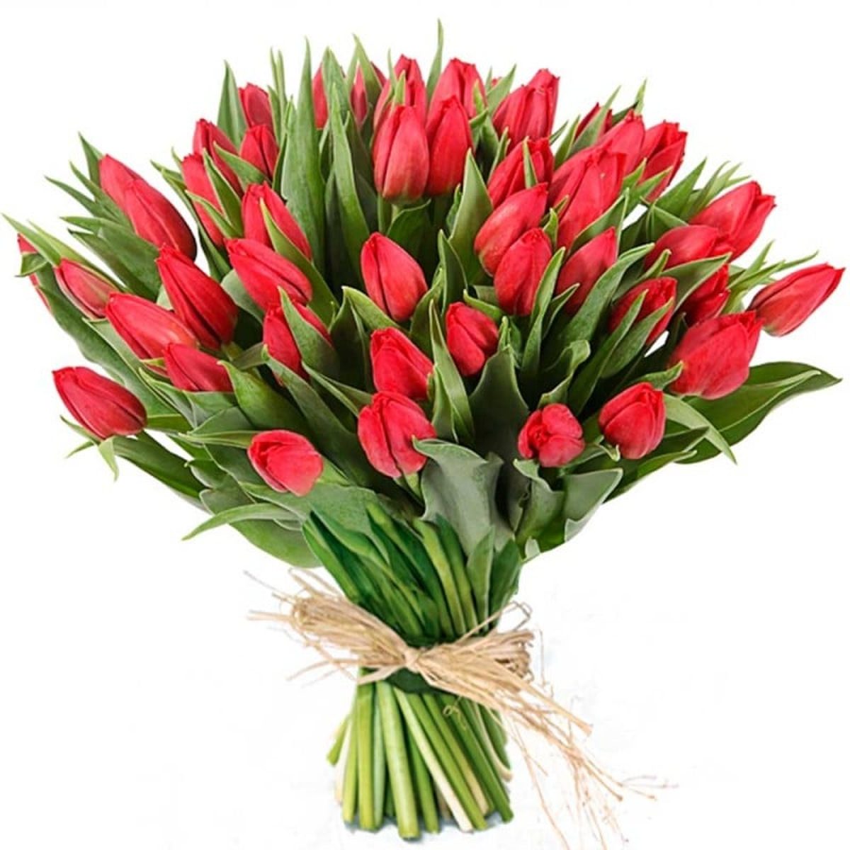 Ramo de tulipanes rojos a domicilio en Madrid.