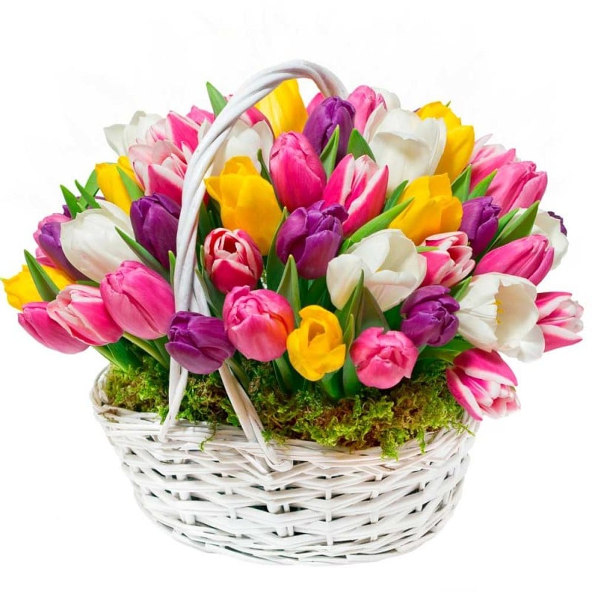 Regalar cesta de tulipanes de colores en Madrid