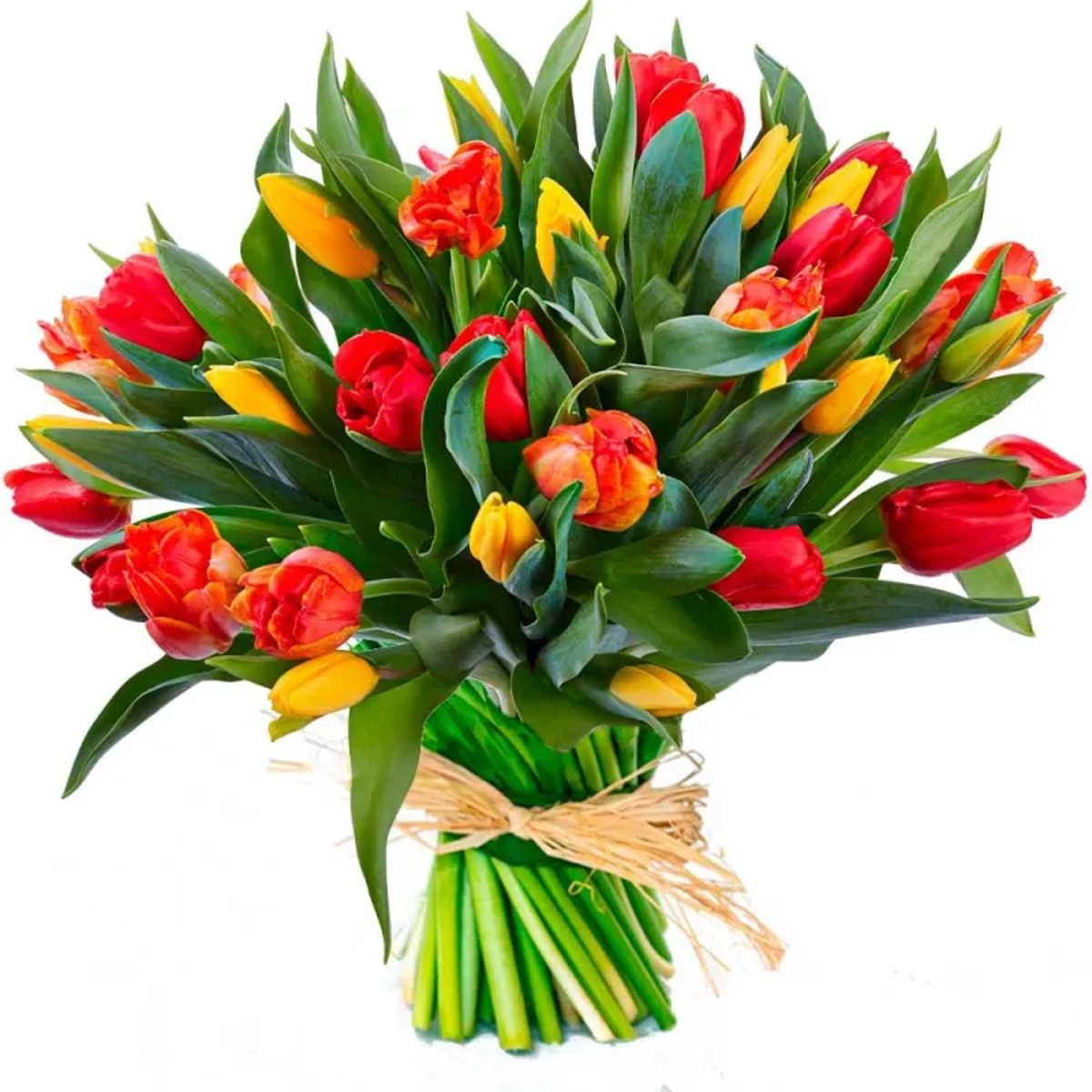 Tulipanes naranja, rojo y amarillo en Madrid.