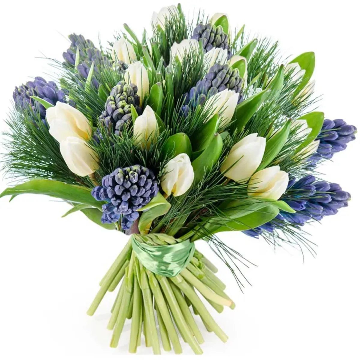 Envío de tulipanes blancos y jacintos azules a domicilio en Madrid.