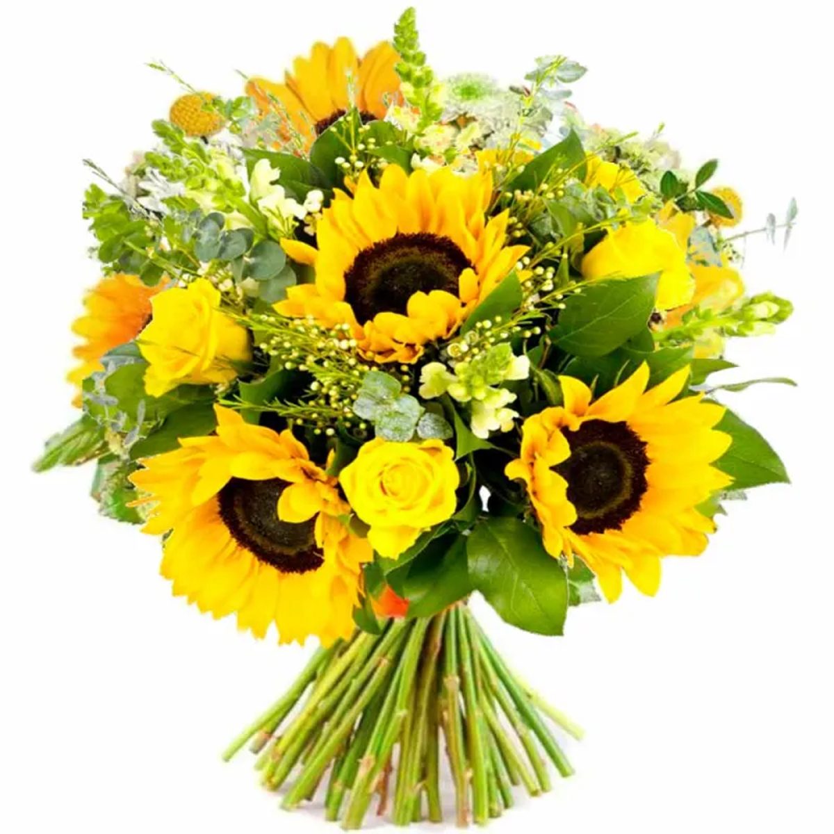 Ramos de girasoles y rosas a domicilio.