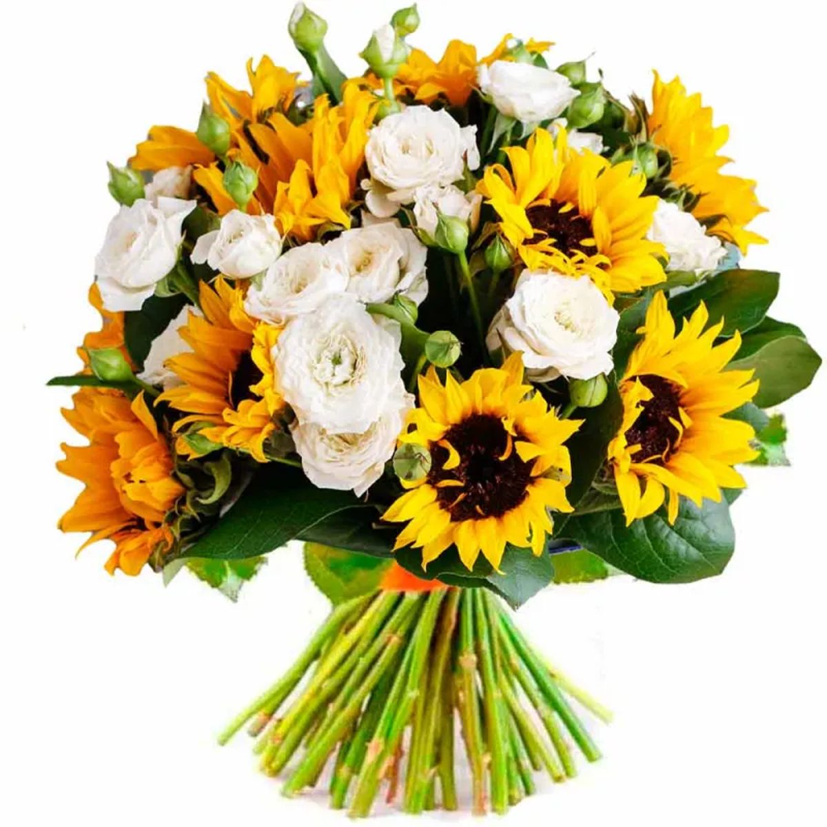Envío a domicilio de ramos de girasoles con rosas blancas.