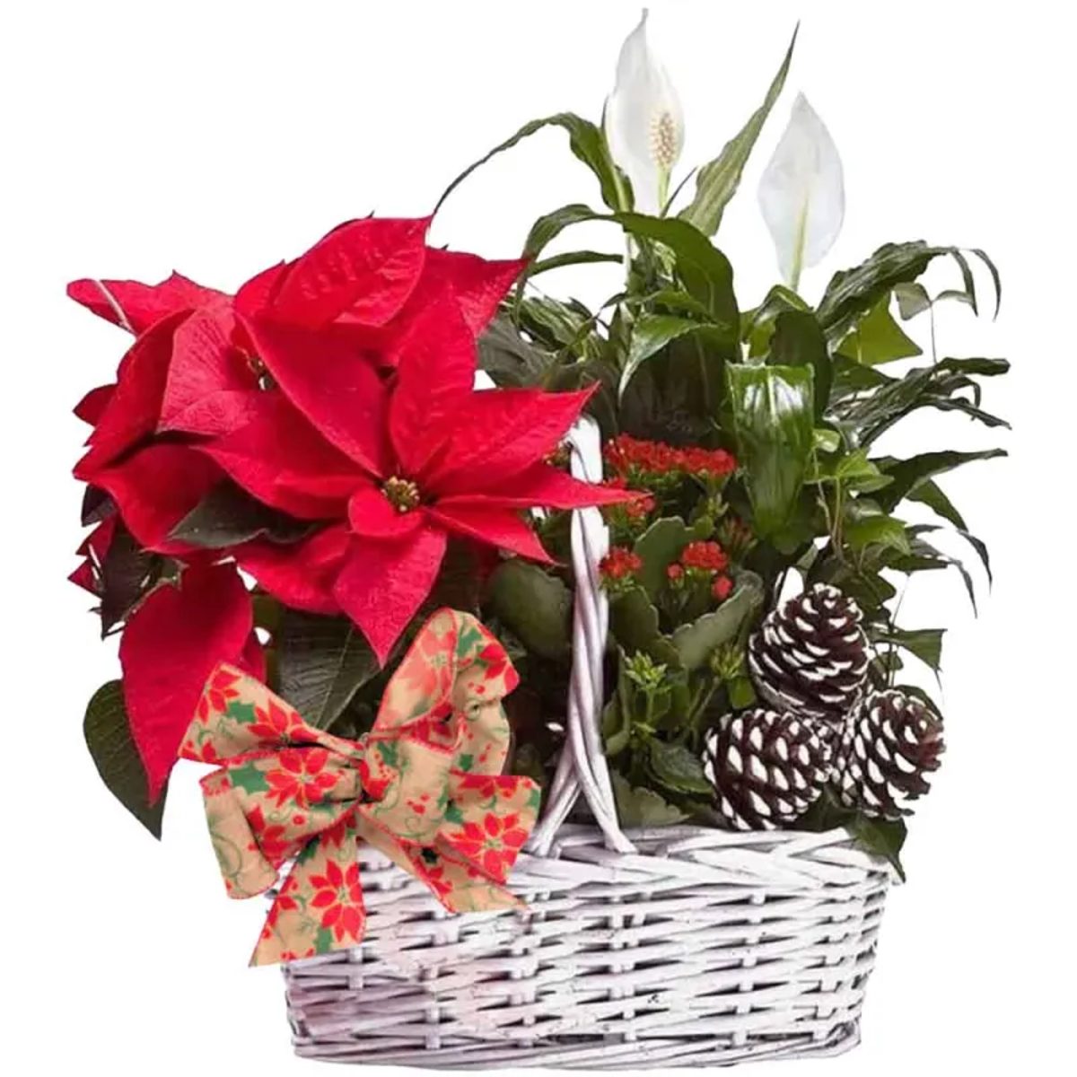 Cesta de mimbre blanco con centro de plantas variadas y motivos decorativos navideños. Envíos a domicilio.