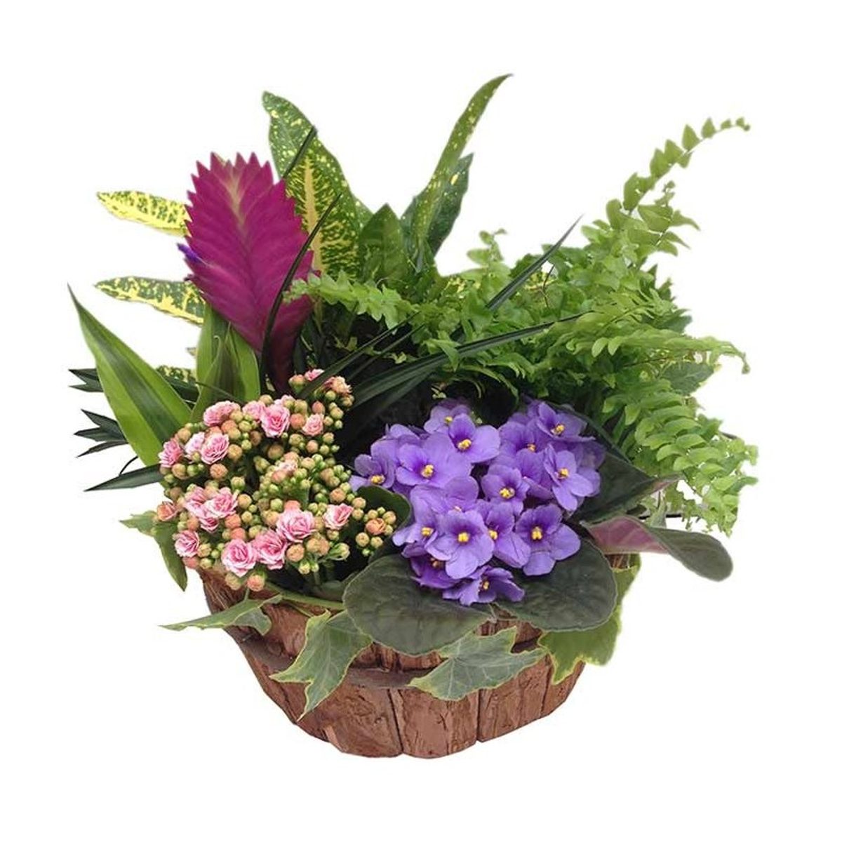 Centro con plantas variadas para enviar a domicilio en Madrid