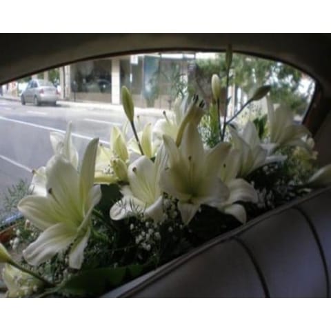 Decoración de coches 003