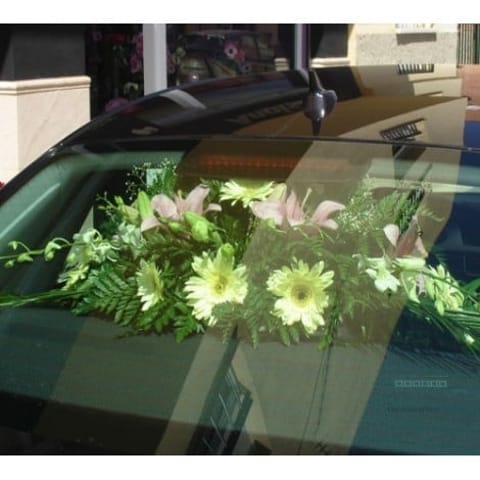 Decoración de coches 006