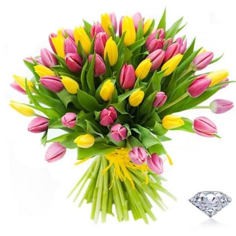 50 Tulipanes. Una leyenda.