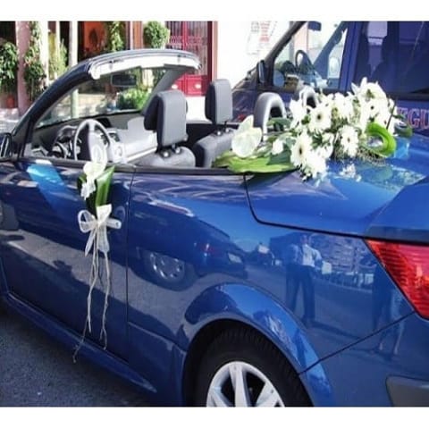 Decoración de coches. 001