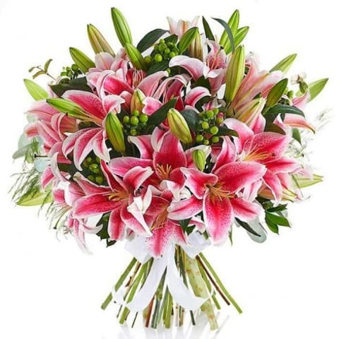 Lilium oriental perfumado