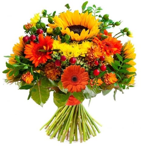 Ramo de flores Koala