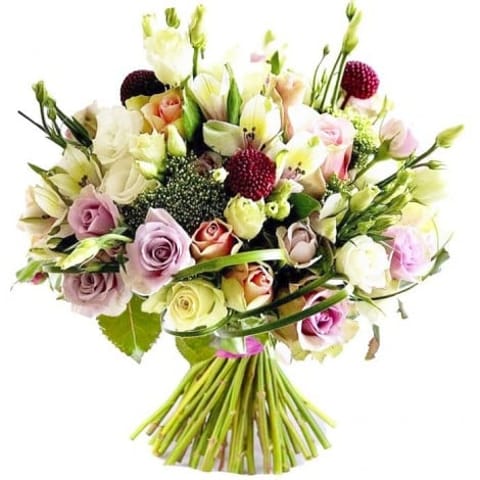 Bouquet Glaciar
