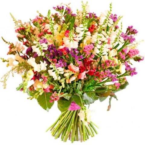 Bouquet de florecillas Salvajes