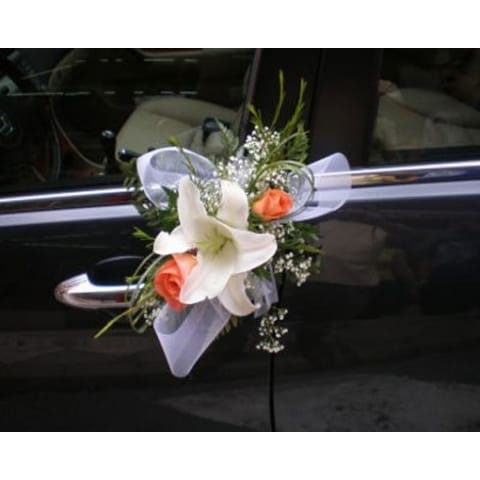 Decoración de coches 004