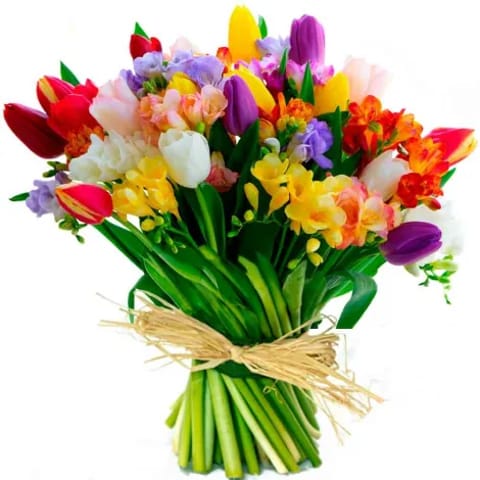 Envío de ramos de tulipanes y freesias a domicilio en Madrid.