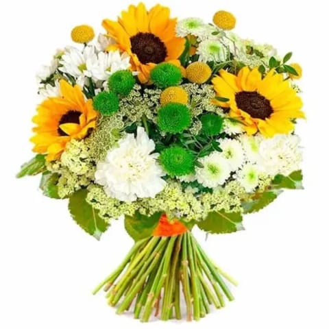 Venta y envio de girasoles en Madrid