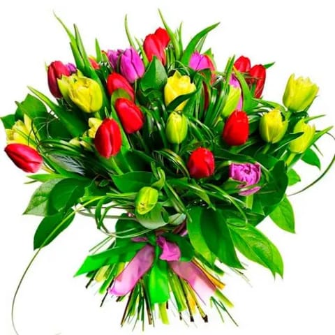Tulipanes de colores a domicilio en madrid.