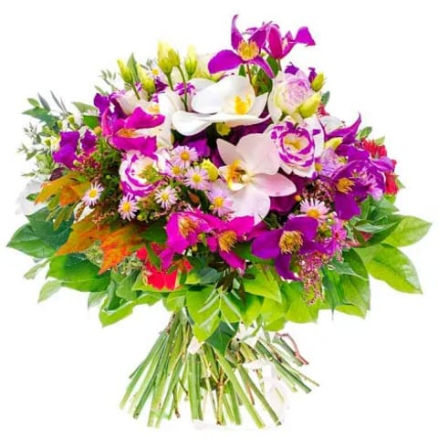 Ramo de orquídeas a domicilio en Madrid.