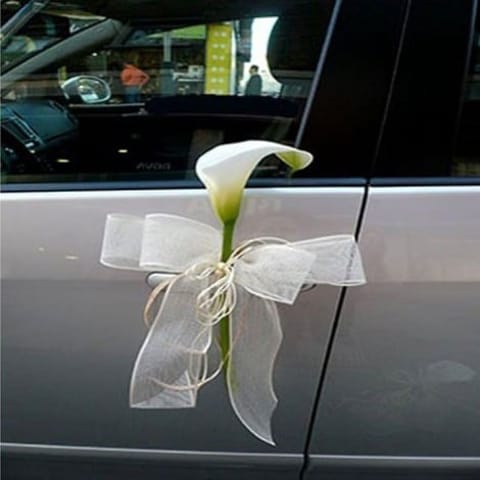 Decor 5