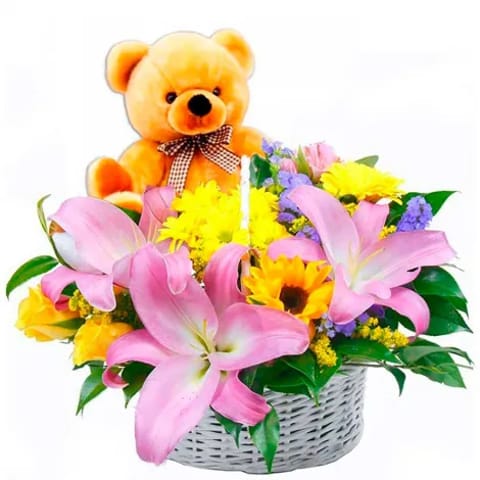 Regalar flores y peluche para bebés recién nacidos