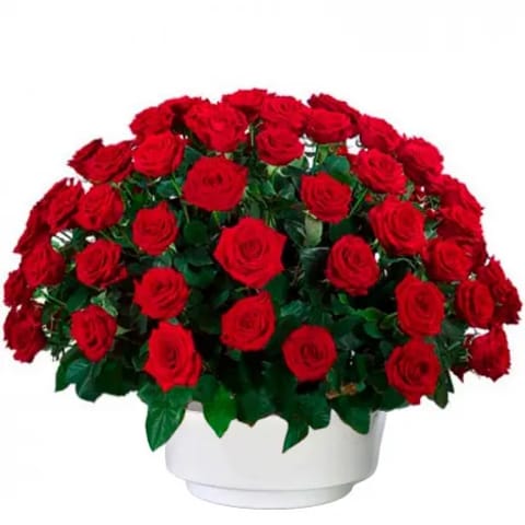 Centro de flores para funeral hecho con rosas rojas.