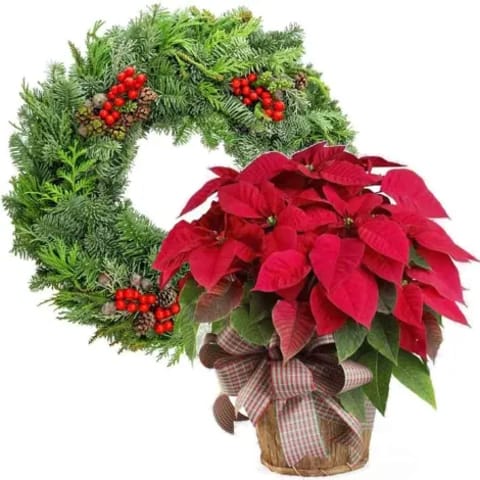 Pack hecho con una corona navideñas y una poinsettia rojas. Envíos a domicilio en Madrid