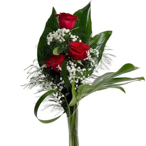 Enviar tres rosas rojas a domicilio en Madrid