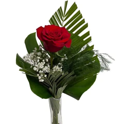 Rosas rojas. Venta por unidades. Envío a domicilio en Madrid.