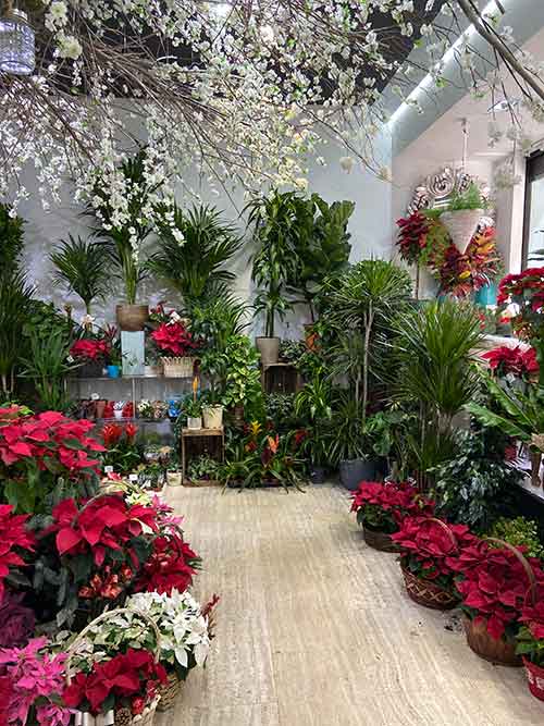 Floristería Menta y Canela en Madrid