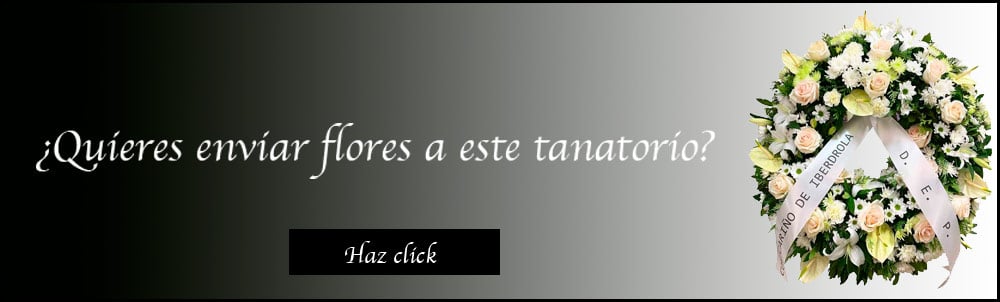tanatorio de san isidro